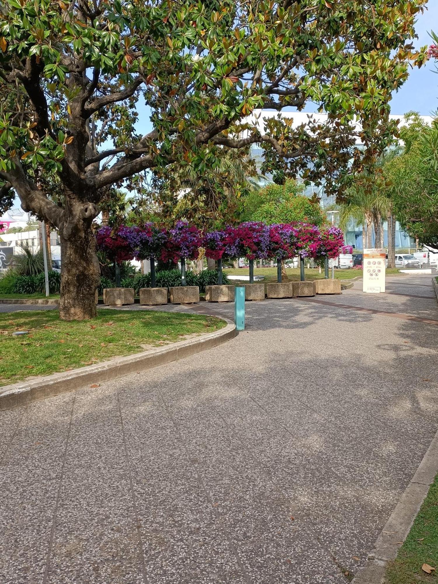 Gallieni Cannes Exterior foto